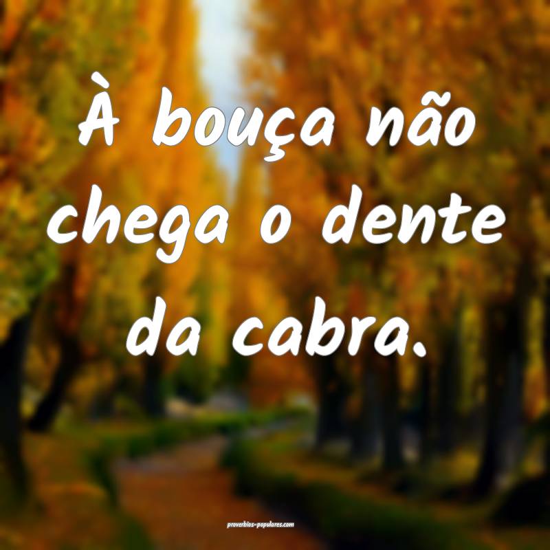 À bouça não chega o dente da cabra.
...