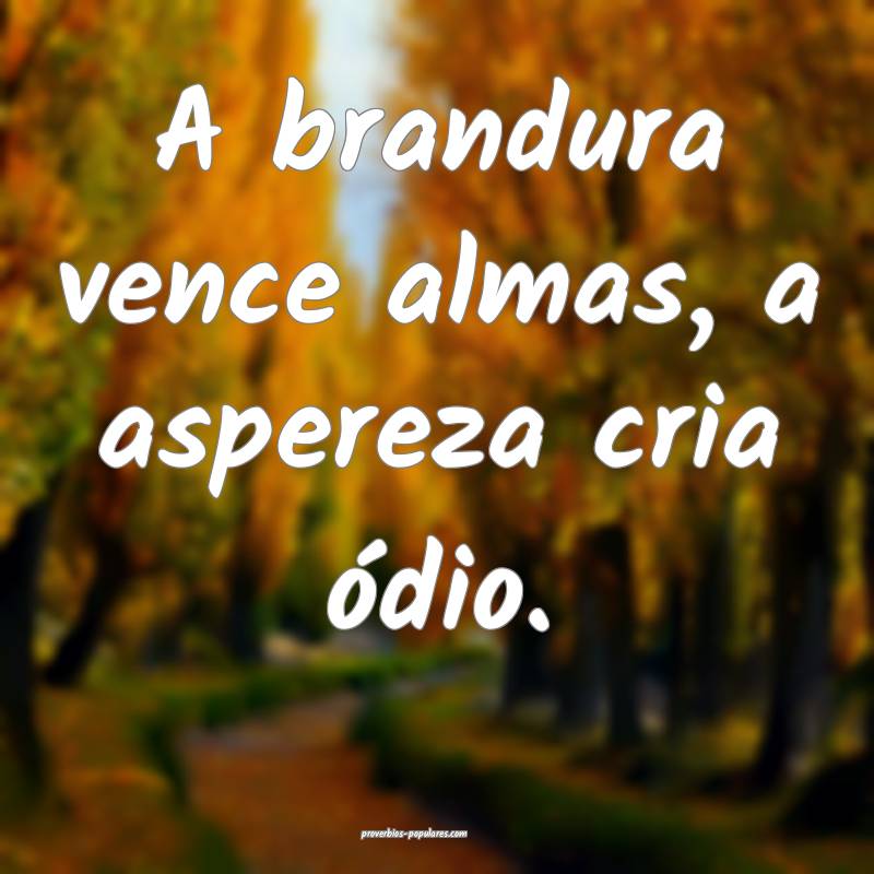 A brandura vence almas, a aspereza cria ódio.
...