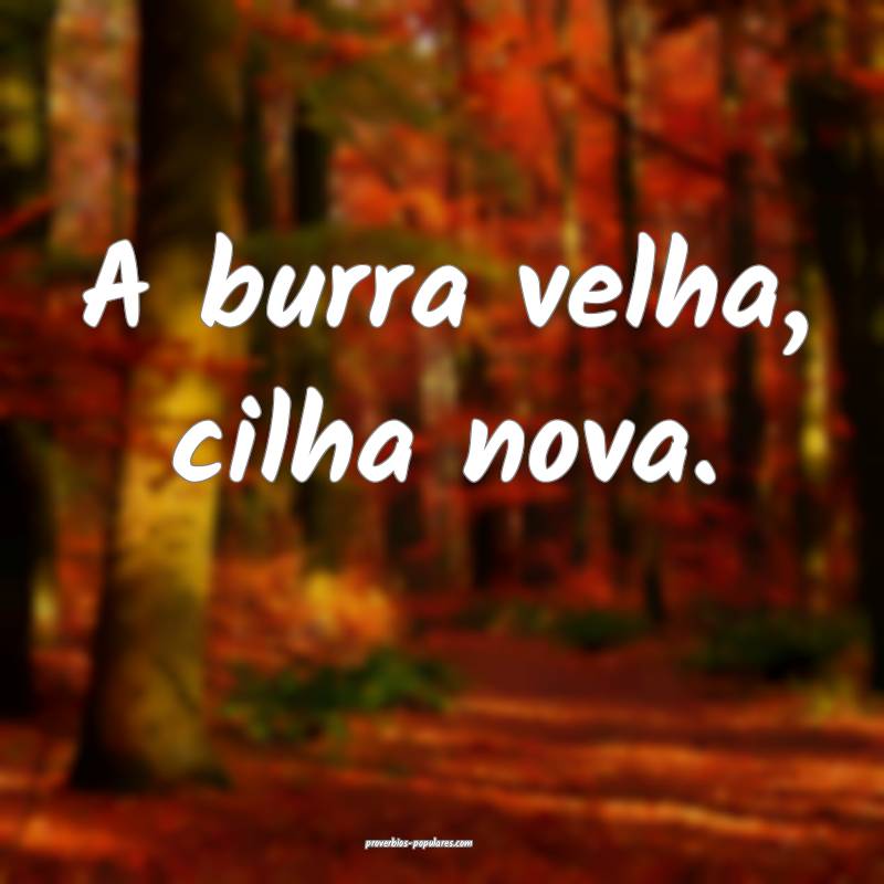 A burra velha, cilha nova.
...