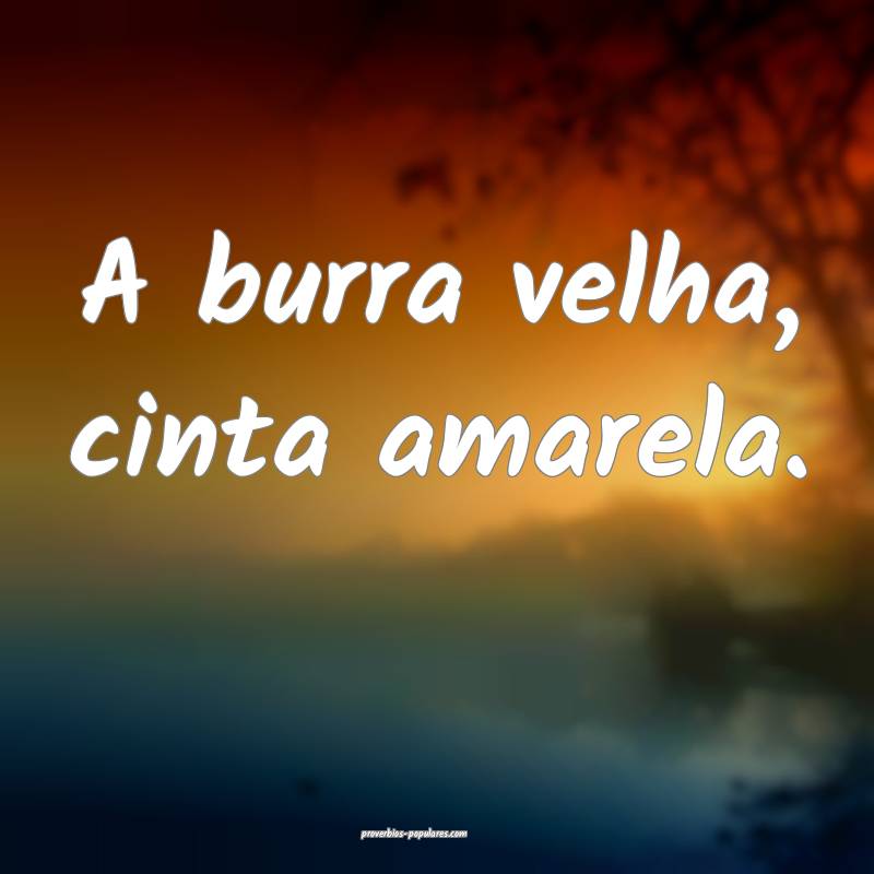 A burra velha, cinta amarela.
...