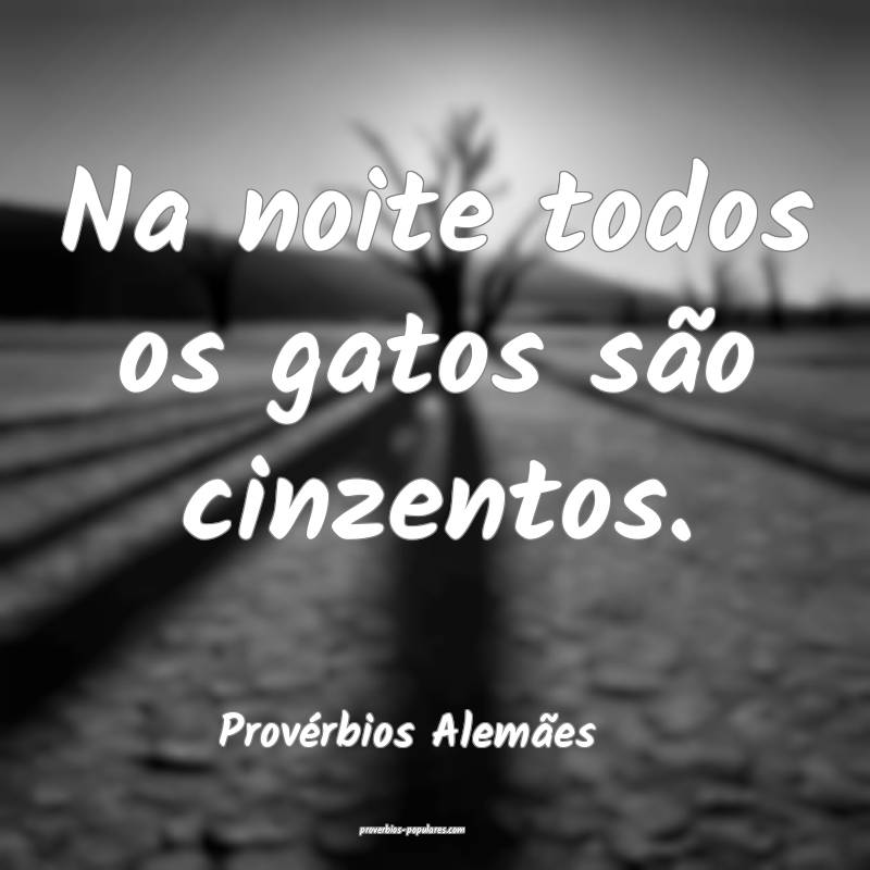 Na noite todos os gatos são cinzentos.
...