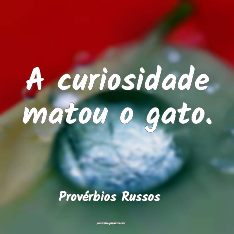 A curiosidade matou o gato.
...