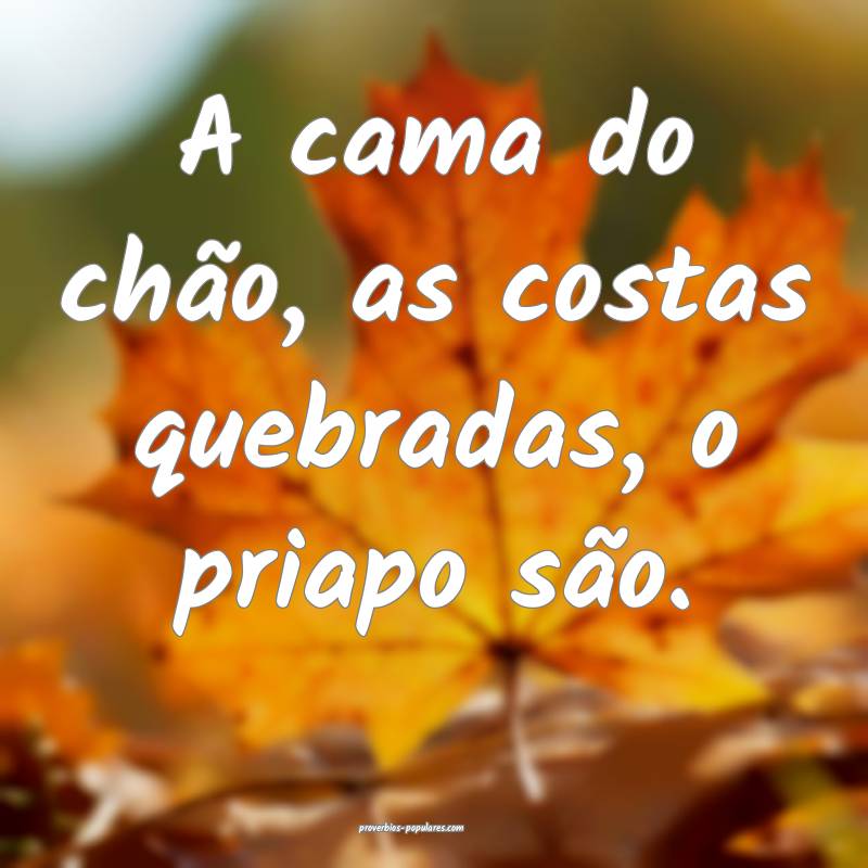 A cama do chão, as costas quebradas, o priapo sã ...