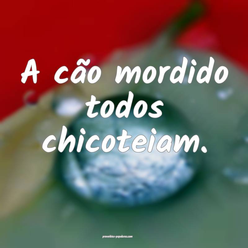 A cão mordido todos chicoteiam.
...