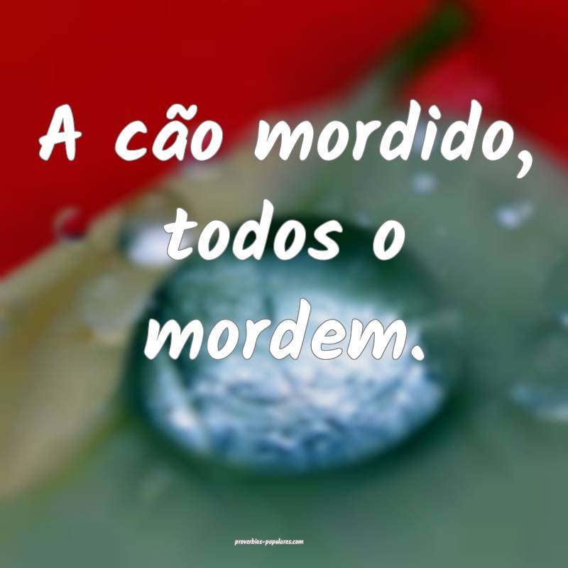 A cão mordido, todos o mordem.
...