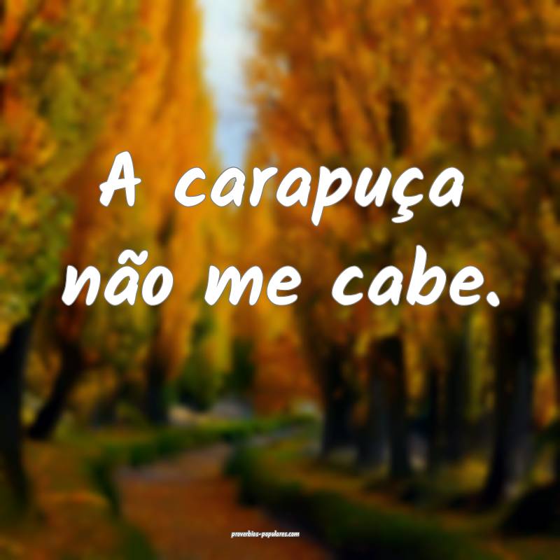 A carapuça não me cabe.
...