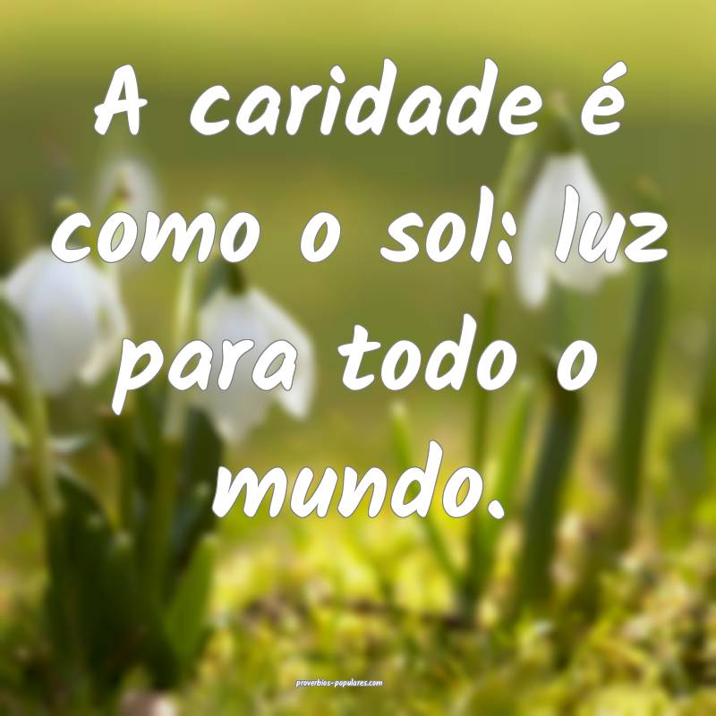 A caridade é como o sol: luz para todo o mundo.
...