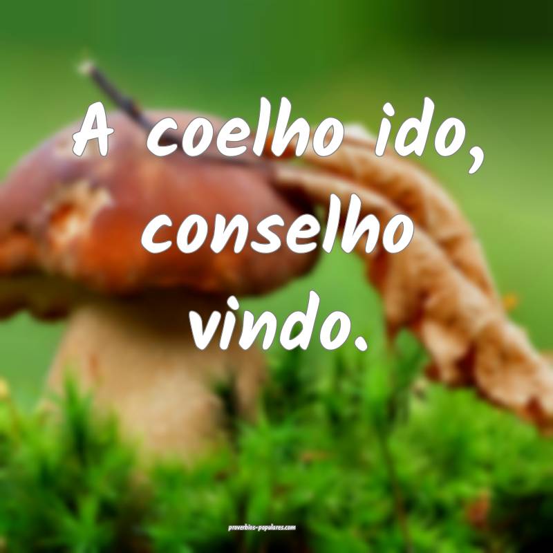 A coelho ido, conselho vindo.
...