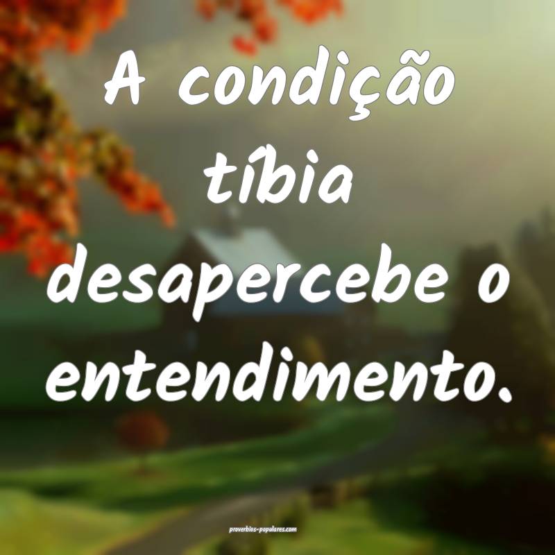 A condição tíbia desapercebe o entendimento.
...