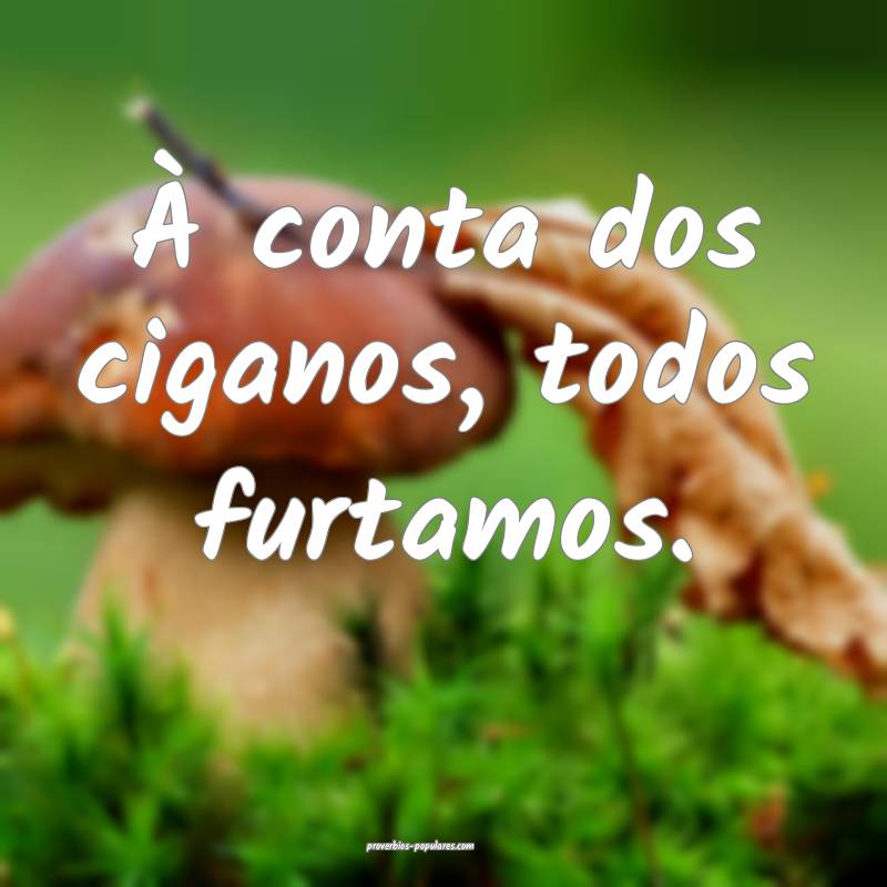 À conta dos ciganos, todos furtamos.
...