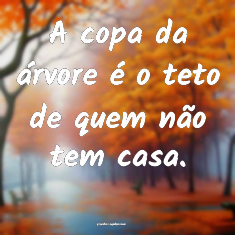 A copa da árvore é o teto de quem não tem casa.
...