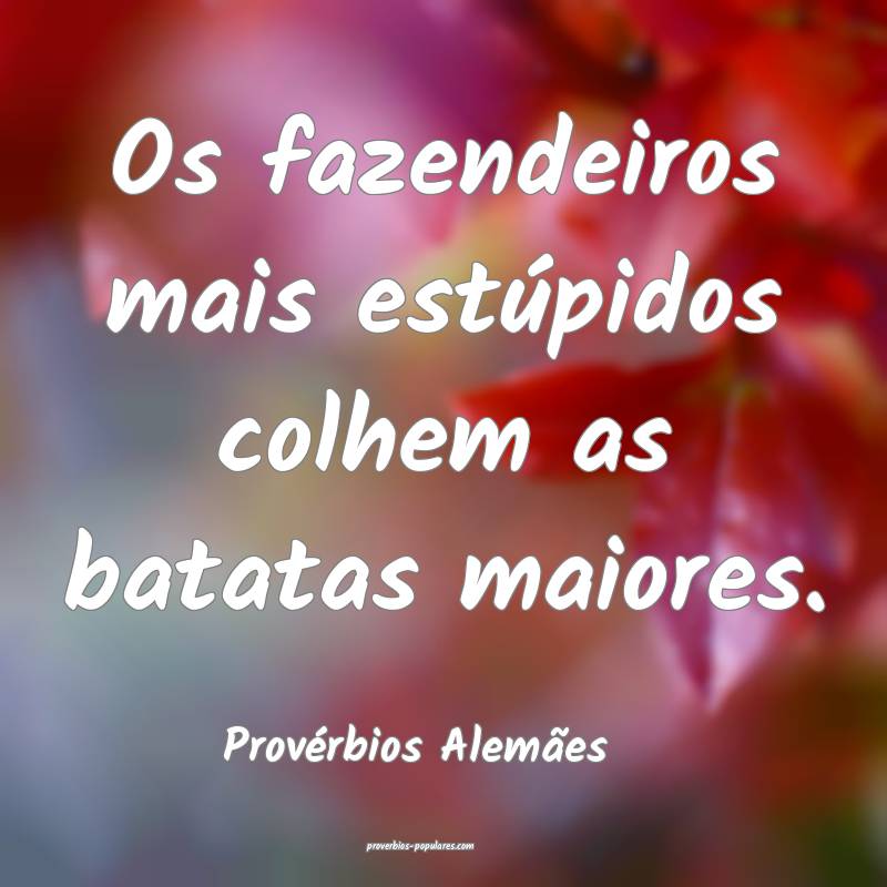 Os fazendeiros mais estúpidos colhem as batatas maiores.
...