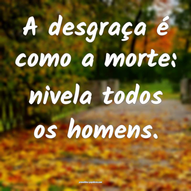 A desgraça é como a morte: nivela todos os homens.
...
