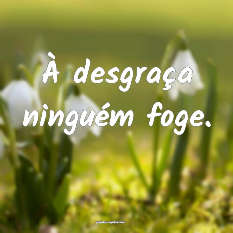À desgraça ninguém foge.
...