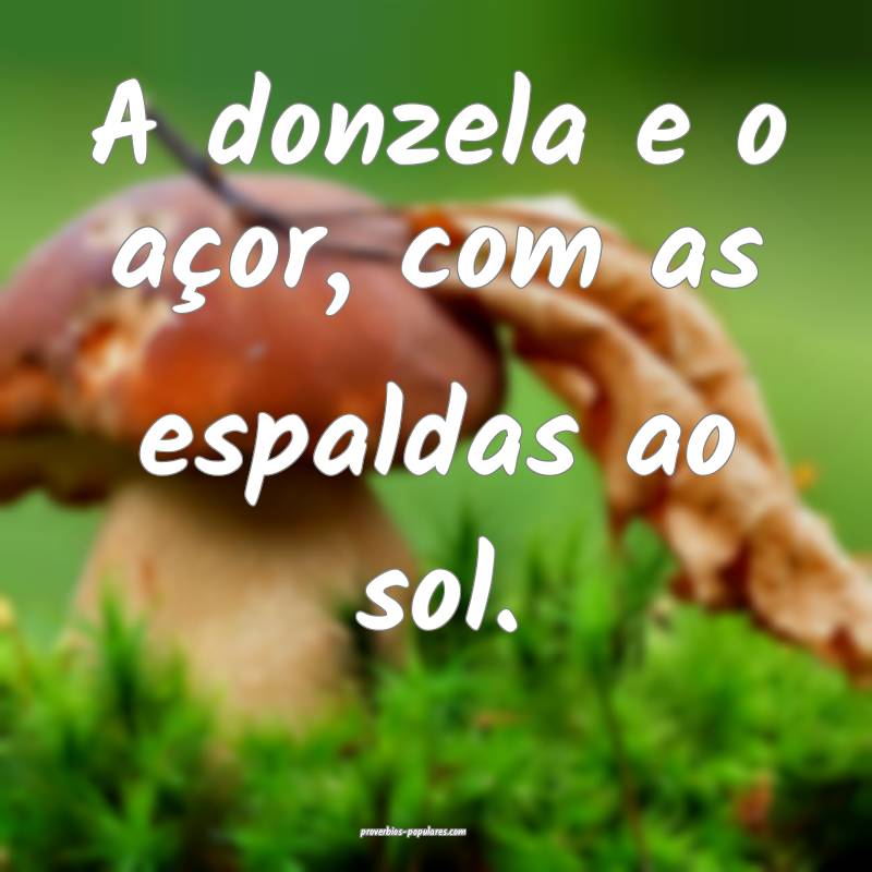 A donzela e o açor, com as espaldas ao sol.
...