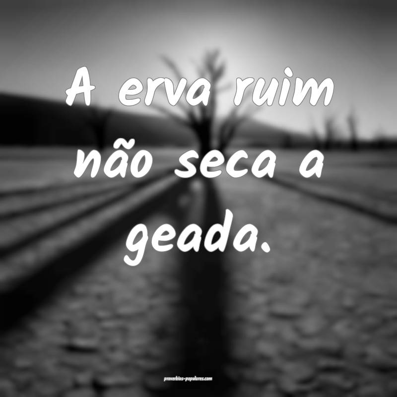 A erva ruim não seca a geada.
...