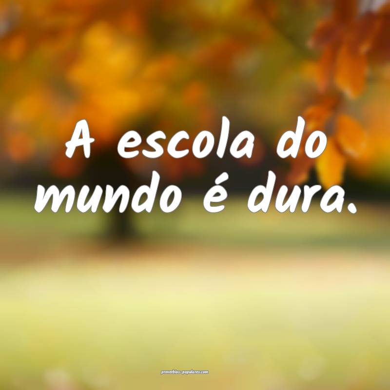 A escola do mundo é dura.
...