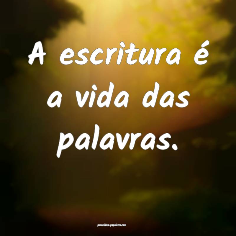 A escritura é a vida das palavras.
...