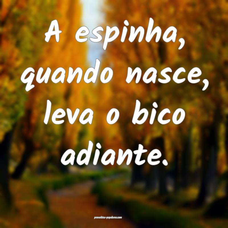 A espinha, quando nasce, leva o bico adiante.
...