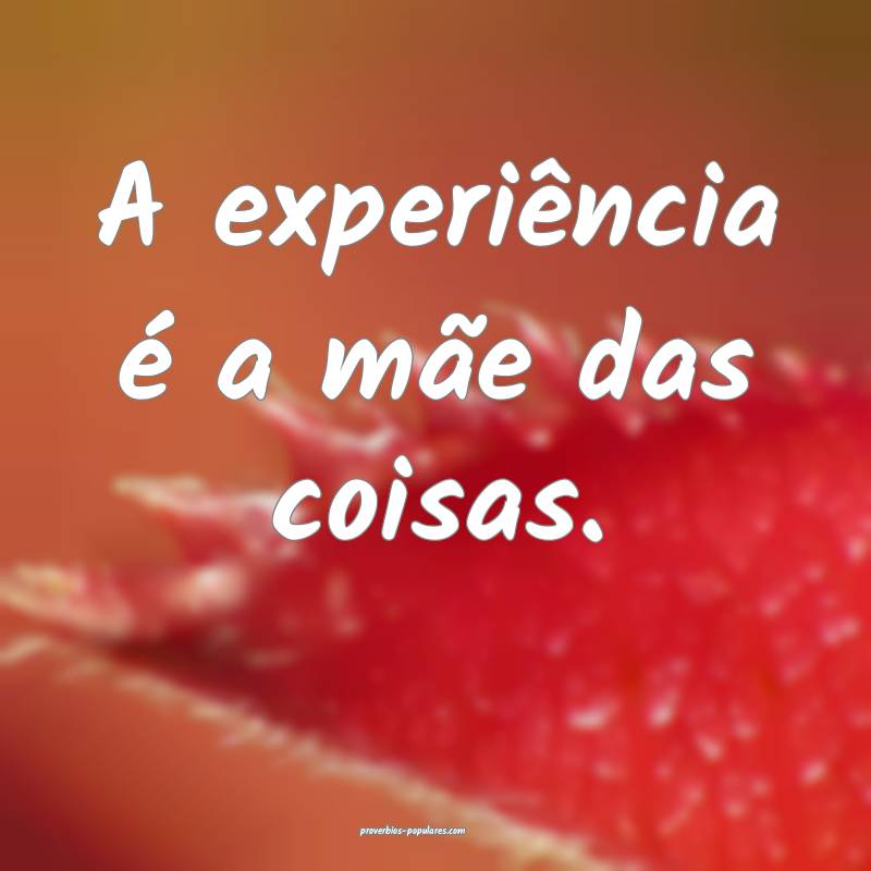 A experiência é a mãe das coisas.
...
