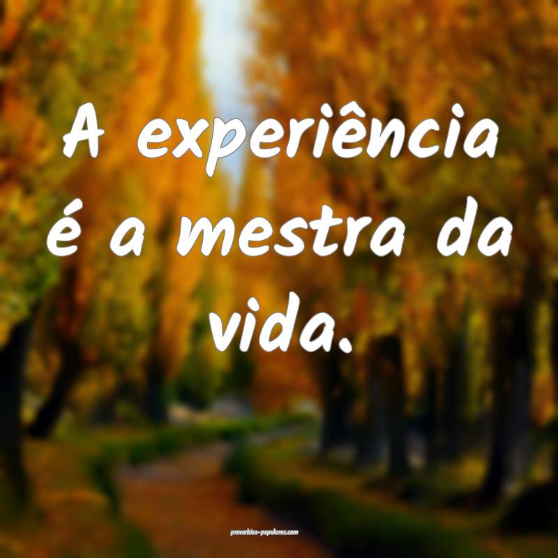 A experiência é a mestra da vida.
...