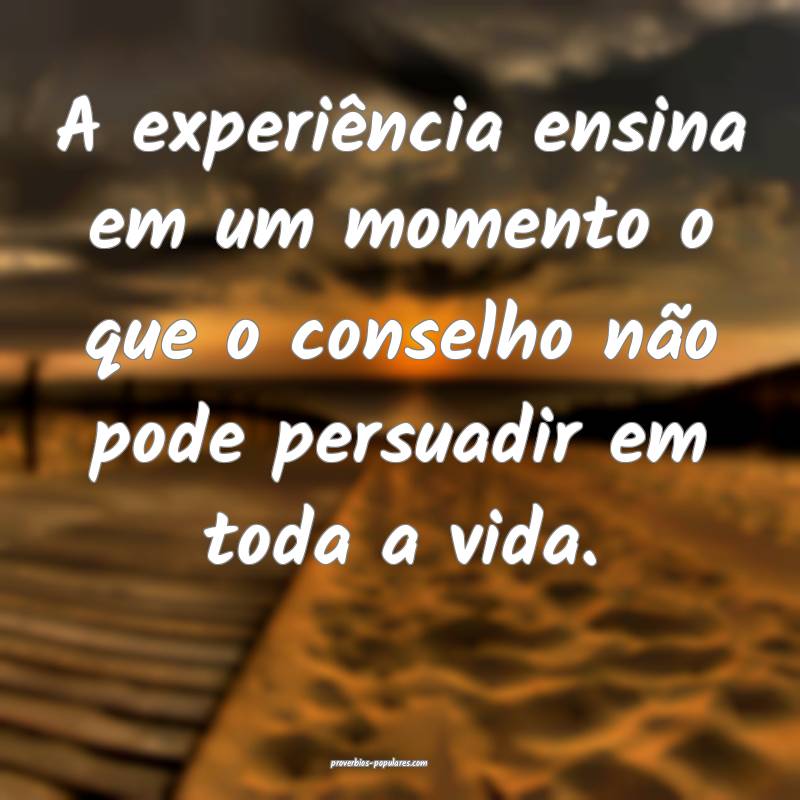 A experiência ensina em um momento o que o conselho não pode persuad...
