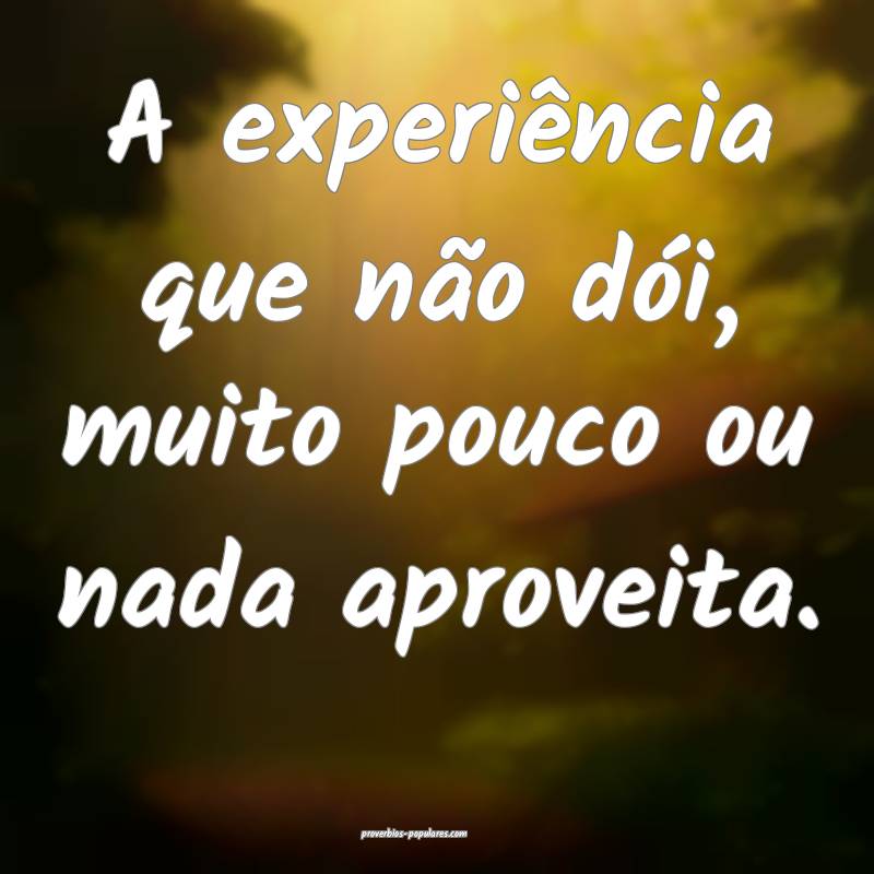 A experiência que não dói, muito pouco ou nada aproveita.
...
