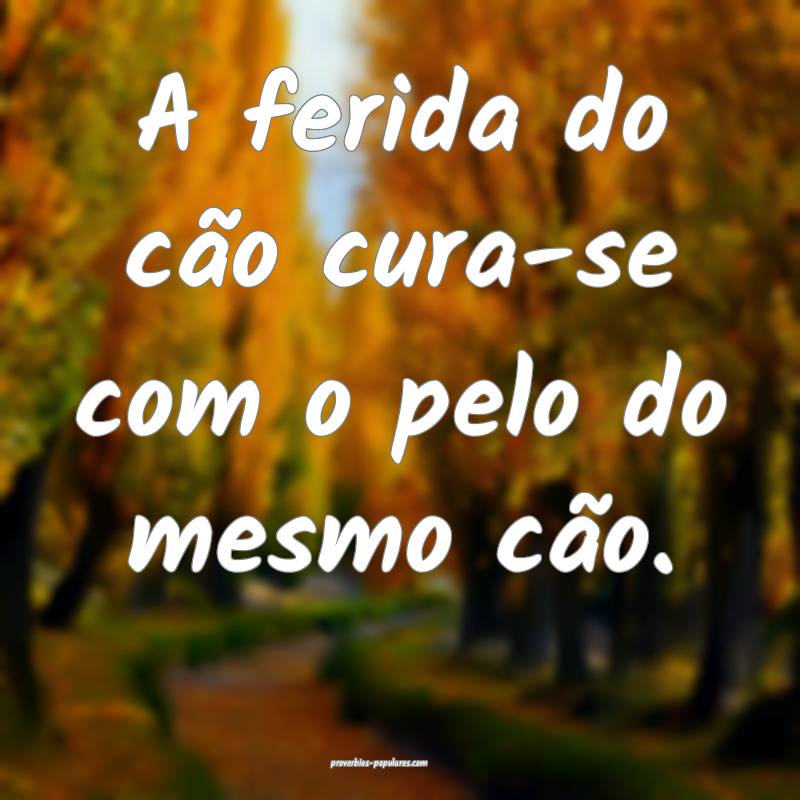 A ferida do cão cura-se com o pelo do mesmo cão.
...