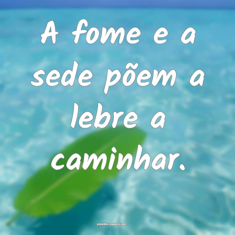 A fome e a sede põem a lebre a caminhar.
...