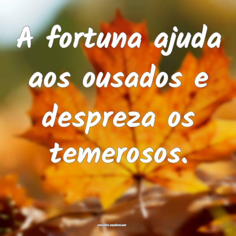 A fortuna ajuda aos ousados e despreza os temerosos.
...