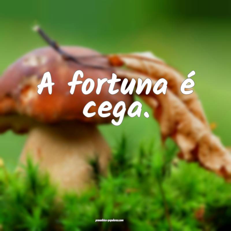 A fortuna é cega.
...