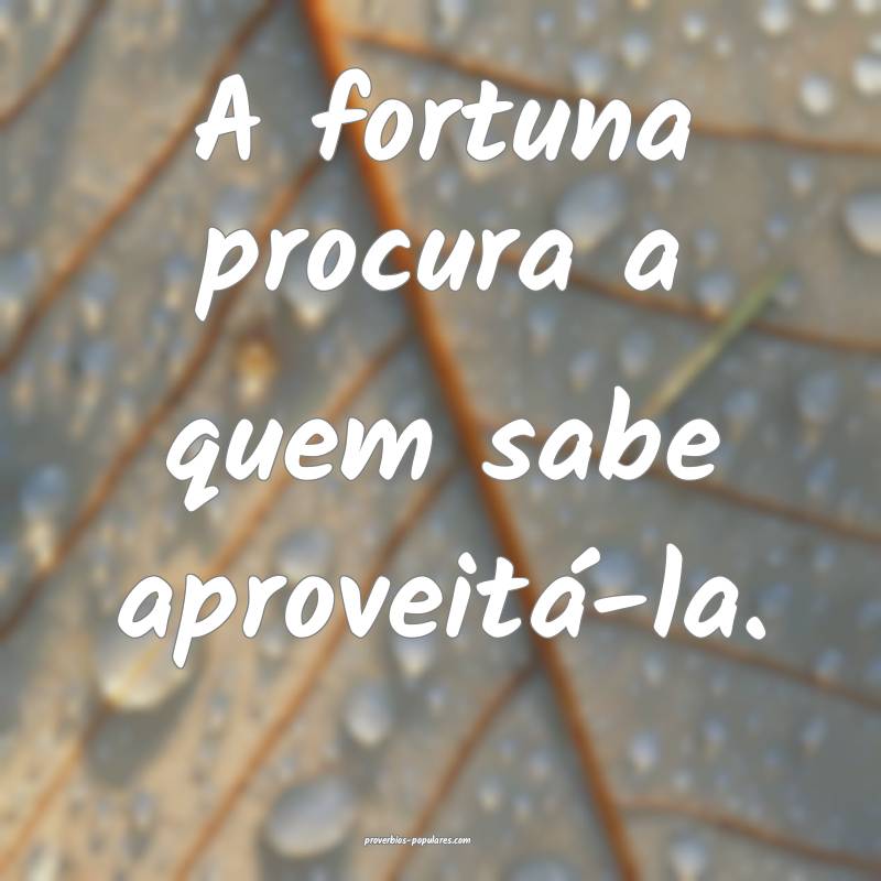 A fortuna procura a quem sabe aproveitá-la.
 ...