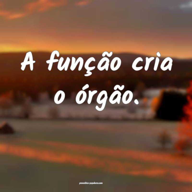 A função cria o órgão.
...