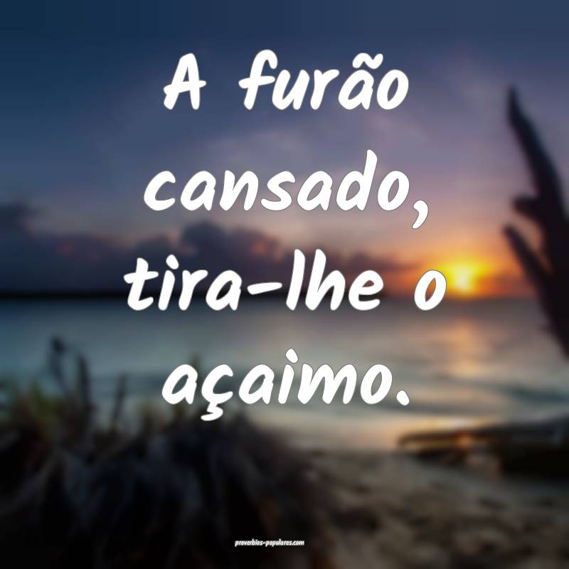 A furão cansado, tira-lhe o açaimo.
...