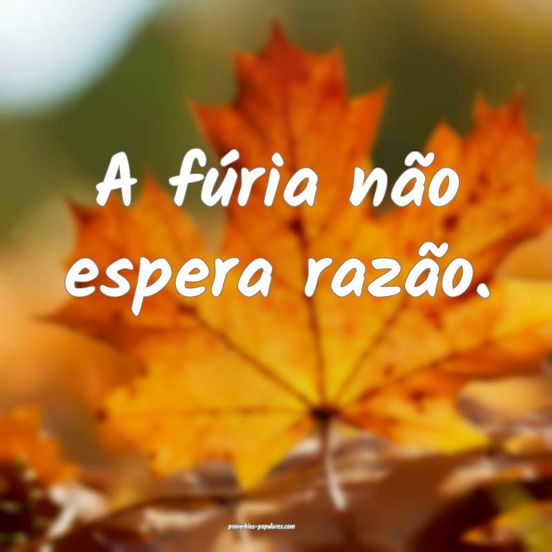 A fúria não espera razão.
...