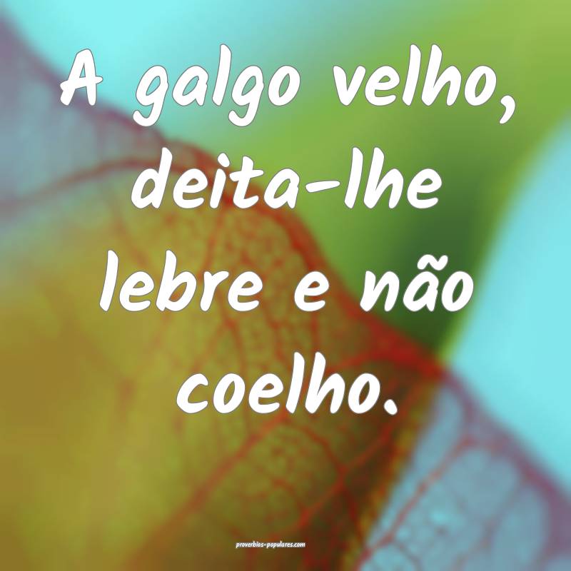 A galgo velho, deita-lhe lebre e não coelho.
 ...