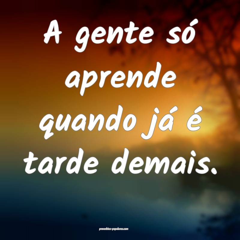 A gente só aprende quando já é tarde demais.
...
