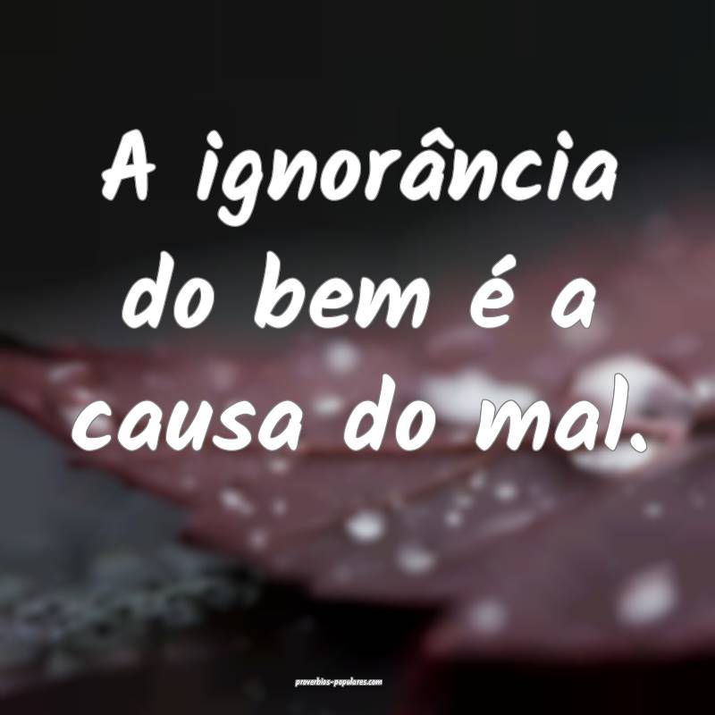 A ignorância do bem é a causa do mal.
...