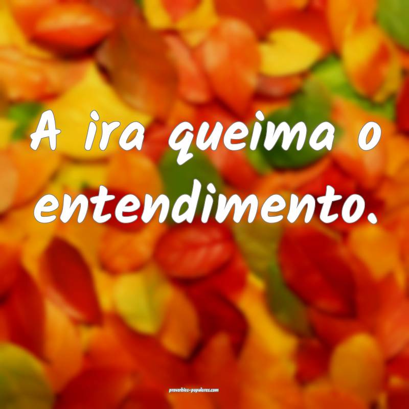 A ira queima o entendimento.
...