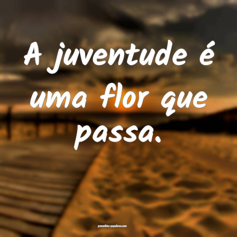 A juventude é uma flor que passa.
...