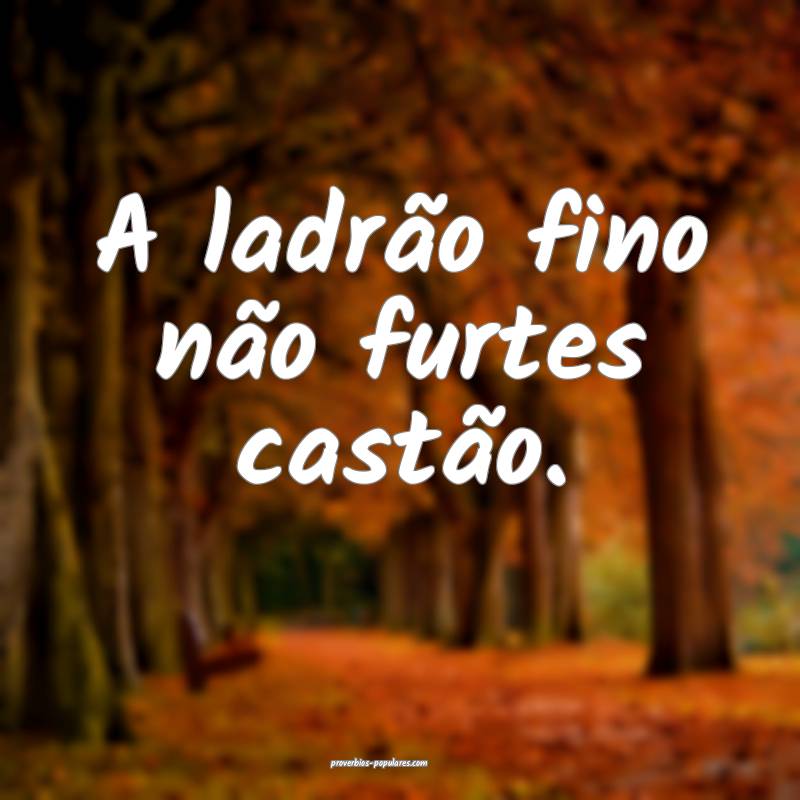 A ladrão fino não furtes castão.
 ...