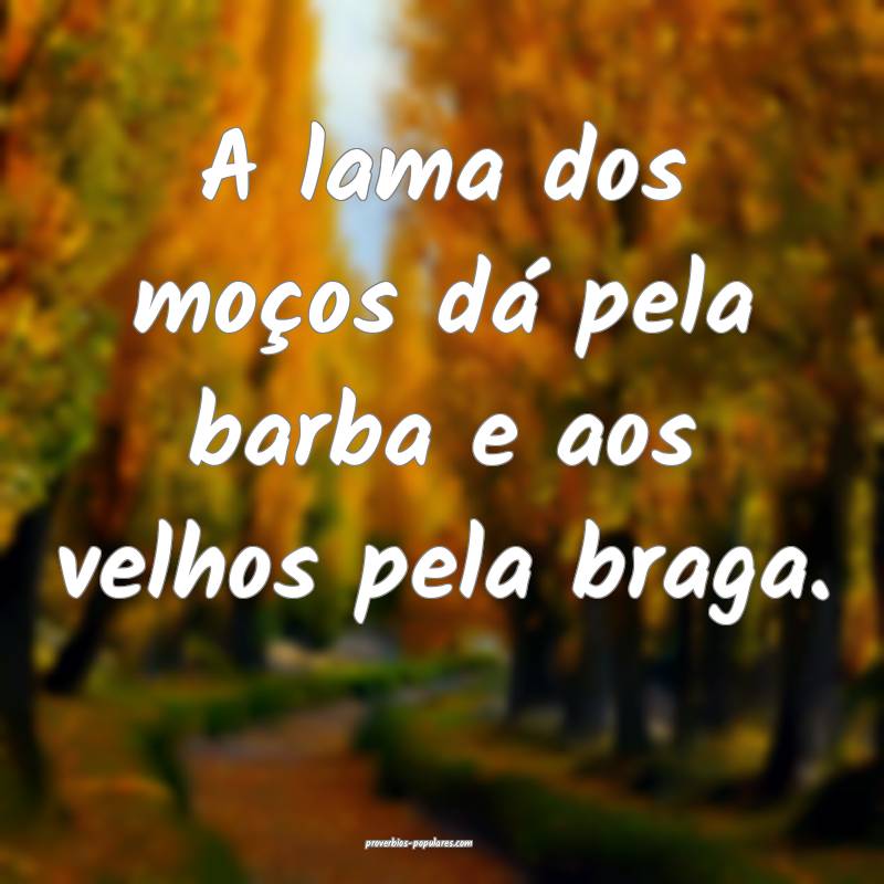 A lama dos moços dá pela barba e aos velhos pela braga.
...