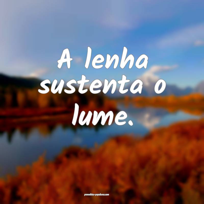 A lenha sustenta o lume.
...