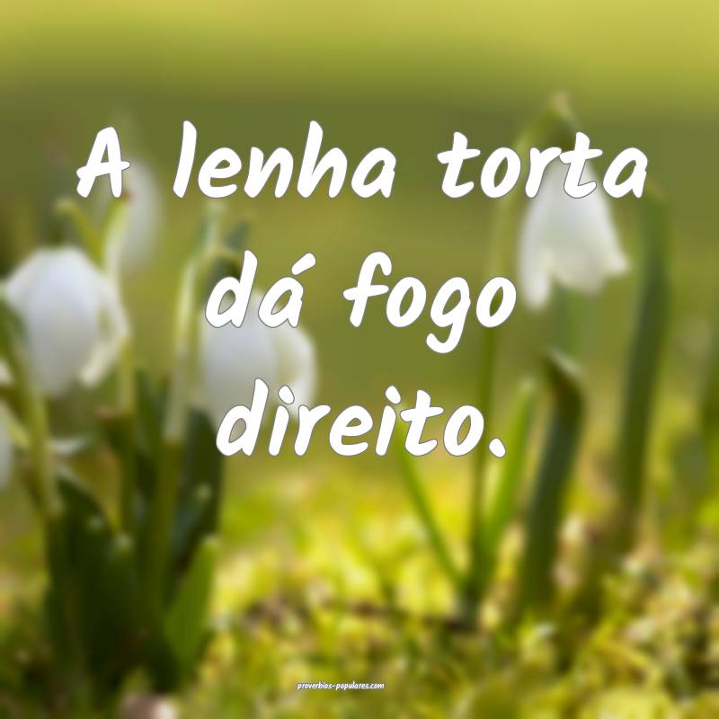 A lenha torta dá fogo direito.
...