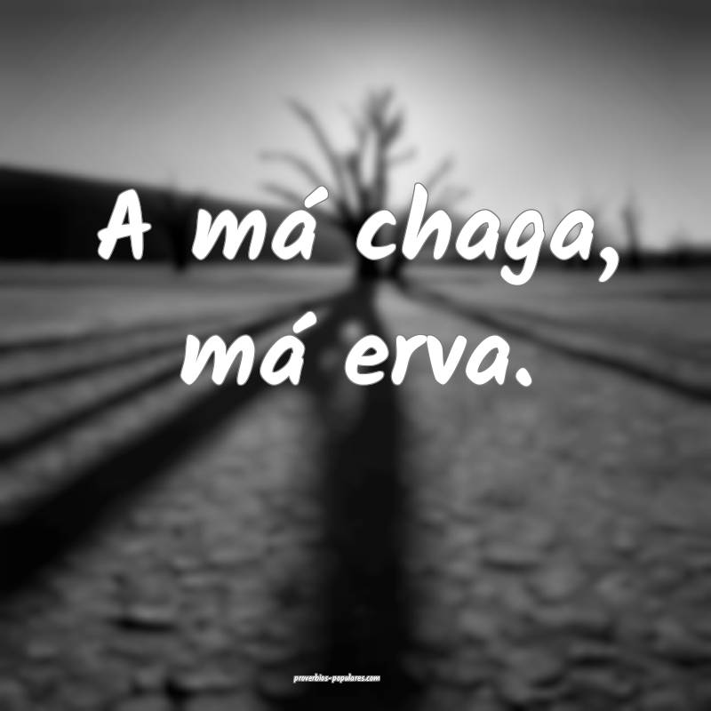 A má chaga, má erva.
...