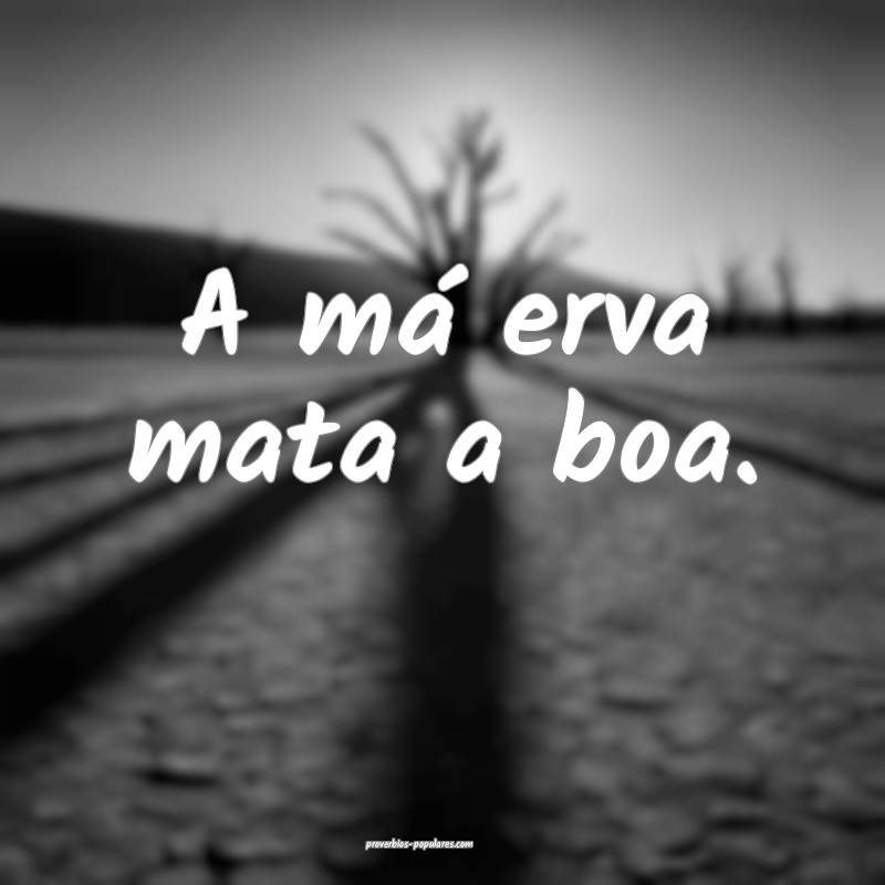 A má erva mata a boa.
...