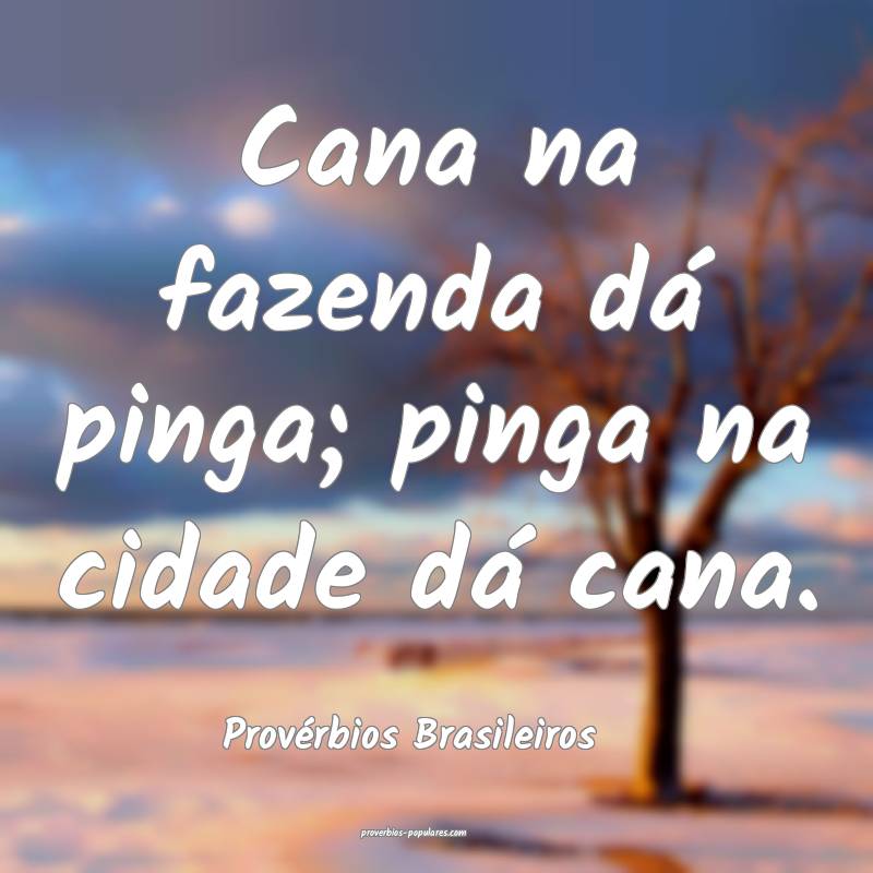 Provérbios Brasileiros - Cana na fazenda dá ping ...