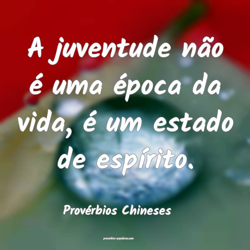 A juventude não é uma época da vida, é um estado de espírito.
...