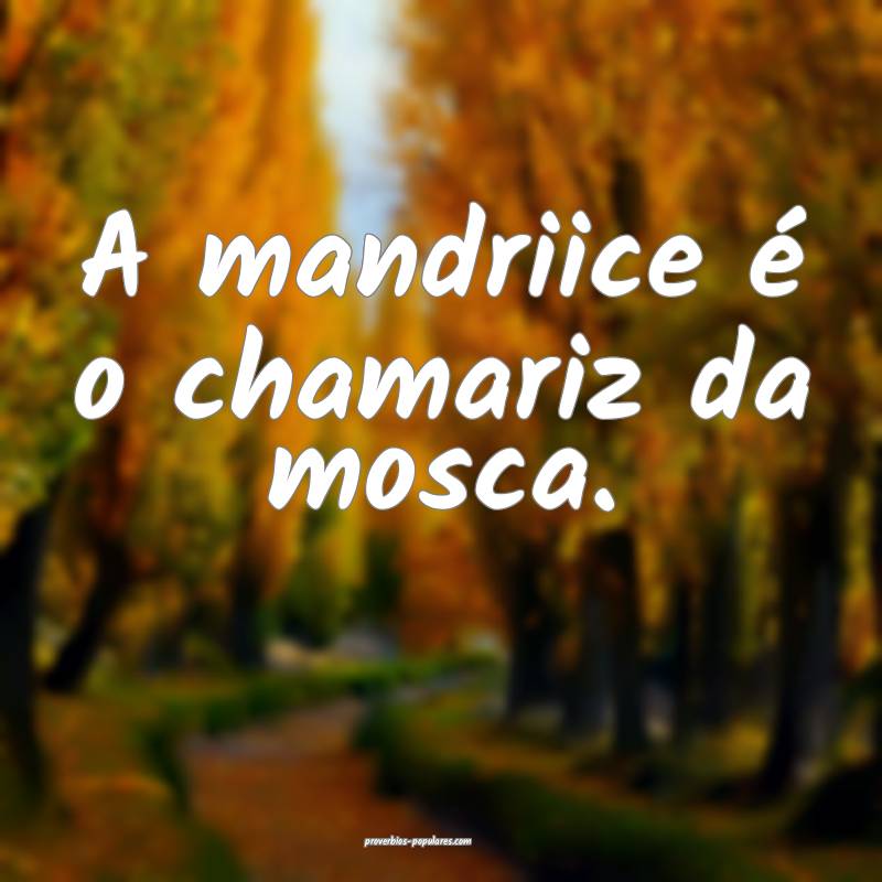 A mandriice é o chamariz da mosca.
 ...