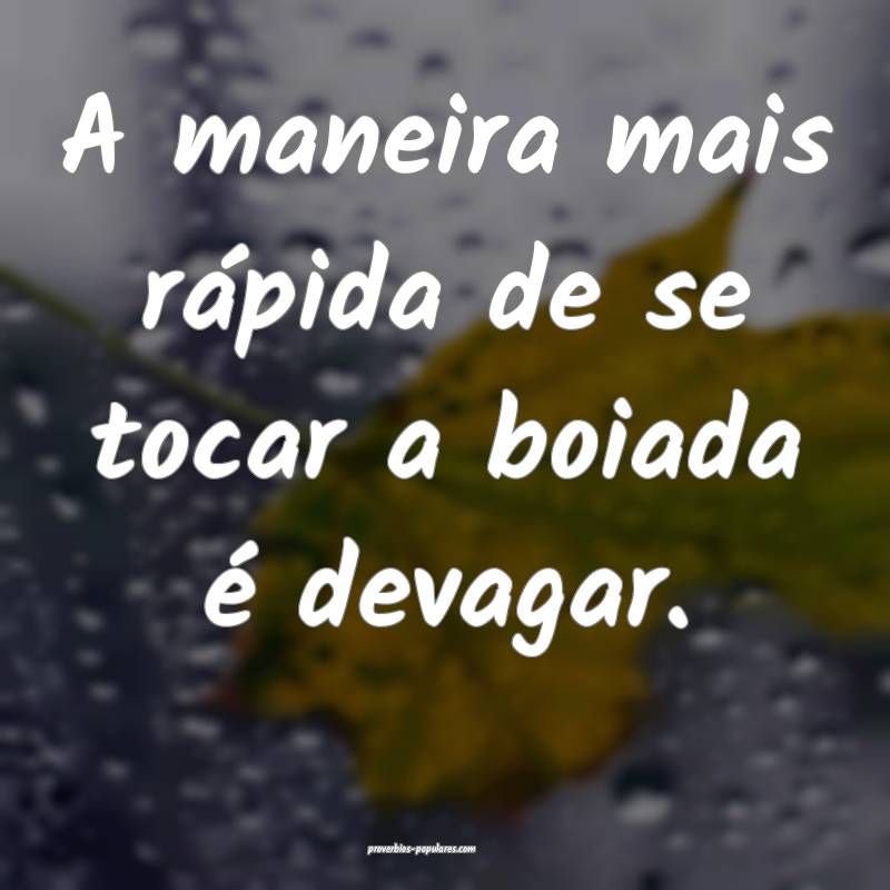 A maneira mais rápida de se tocar a boiada é devagar.
...